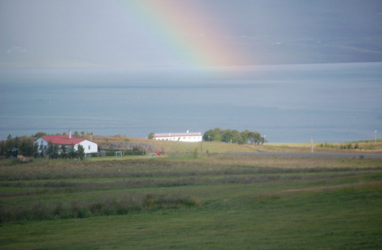 Baton Rouge: Is he really my true Valentine? Love and PTSD.