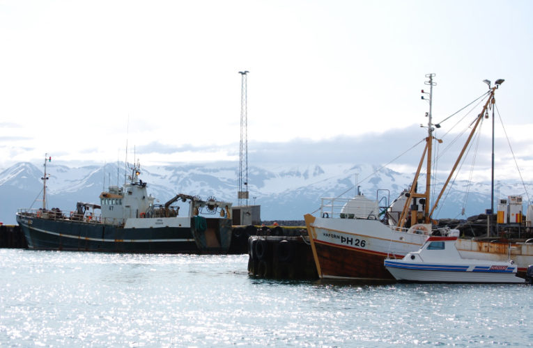 Baton Rouge: Woman/wife/mother: PTSD + suicidal thoughts