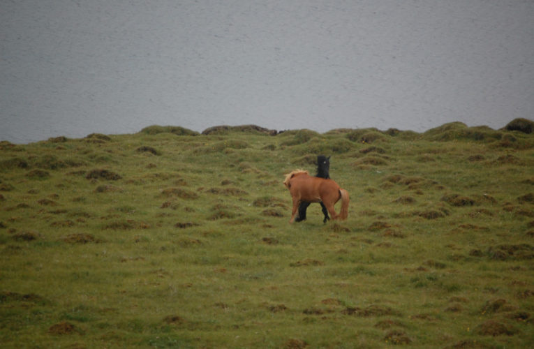 Baton Rouge: The Battle for Harmony When Living With PTSD