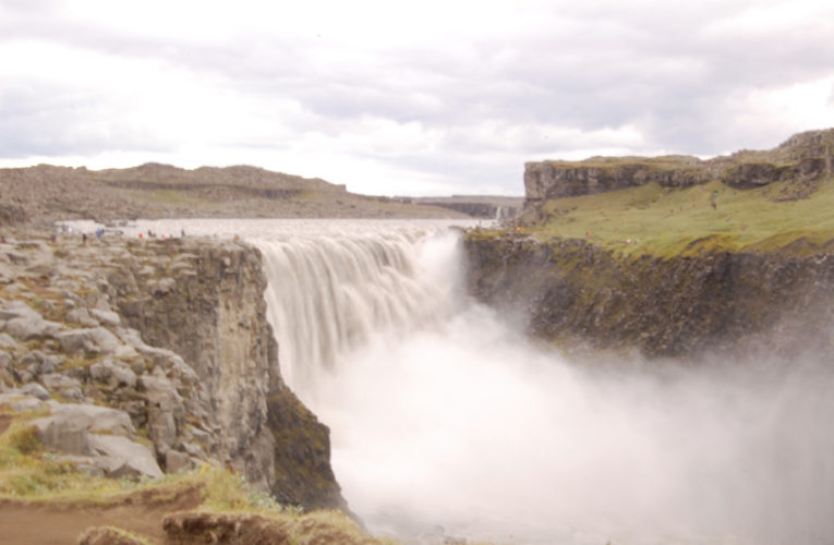 Baton Rouge: Help! I’m a lost little amoeba in this big PTSD ecosystem